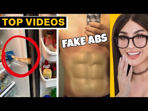 The Internet’s Funniest Moments Caught in 4K | SSSniperWolf