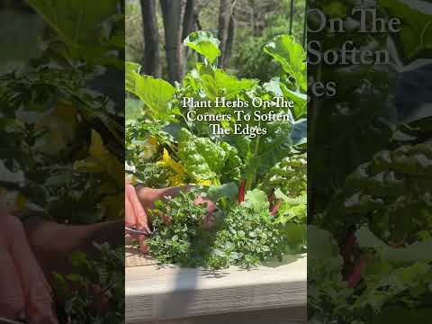 These 5 simple rules will transform your garden from basic to beautifully chic #garden #gardendesign