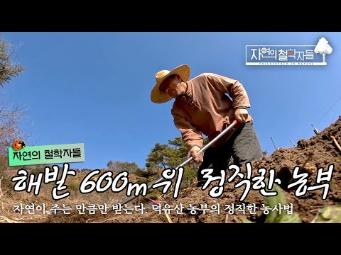 덕유산 해발 600m, 자연이 주는 만큼만 받는 농부의 정직한 농사법｜#자연의철학자들 KBS1 매주 금 방송｜[국내여행] 20220617