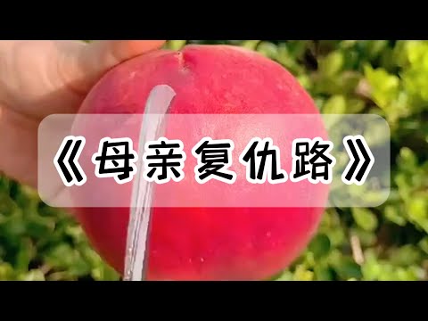 前夫抢走了女儿的抚养权，还骗我说女儿死了，我如花似玉的女儿，被他嫁给了 60 岁的老光棍#小说 #故事