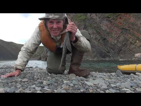 Сквозь Таймыр на мыс Челюскин.  Часть 7.  В горах Бырранга.