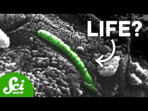 NASA's Most Controversial Rock