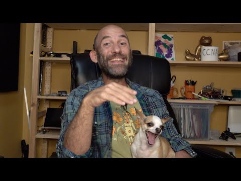 Question: Should I Transfer Jobs at My Tech Startup