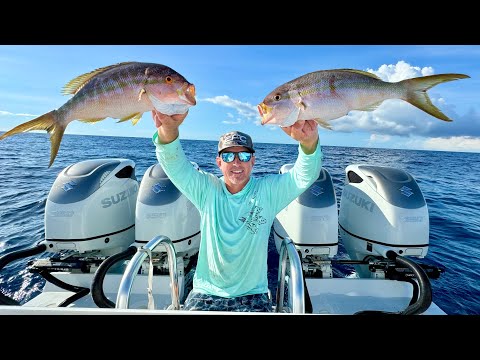 160 Miles  on a 1.2 Million $ Boat! (Yellowtail Snapper  Catch Clean & Cook)
