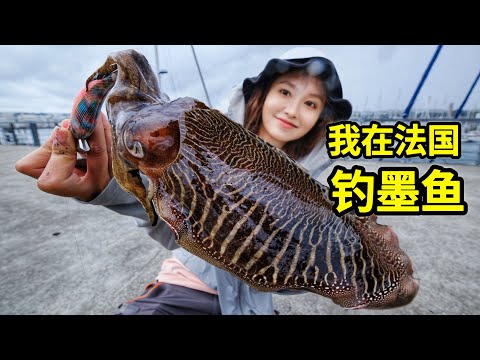 How to catch 3 pounds of squid in France? Making Teppanyaki Sweet and Bouncy