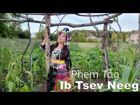 Phem Tag Ib Tsev Neeg~08/17/2023~