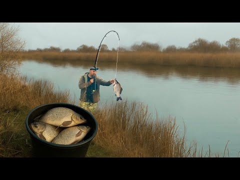 ВЕРНУЛСЯ НА РЫБНУЮ РЕЧКУ! ЛОВЛЮ КРУПНЯК НА ПОПЛАВОК! КРАСНОПЕРКА И КАРАСИ! Рыбалка на поплавок!