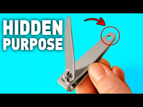 The Hidden Purpose of Everyday Items That Nobody Told You