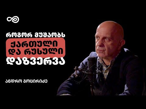 თავის დრო #79- აგენტები, დაზვერვის საქმიანობა და საფრთხეები - ანდრო გოცირიძე