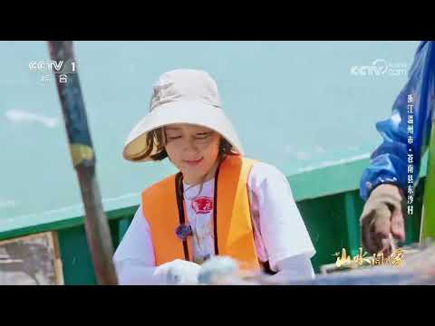 [山水间的家第四季]王嘉宁随渔船扬帆出海 参与捕捞作业 | CCTV