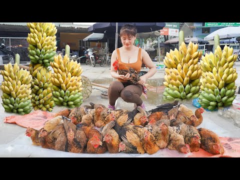 CEO Girl Sell Many Chicken After 6 Month of Raising - Harvest Banana, BambooShoot, Pineapple