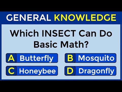 Are You Good At General Knowledge? | Take This 30-Question Quiz To Find Out! #challenge 154