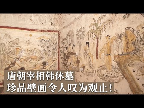 韩休夫妇合葬墓现世 千年壁画精美绝伦！历时一整年 珍品壁画能否安全揭取？《探索·发现》2024考古探奇（1）丨 中华国宝