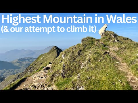 The Top of Wales During a Heatwave? I Think We Should Start Early...