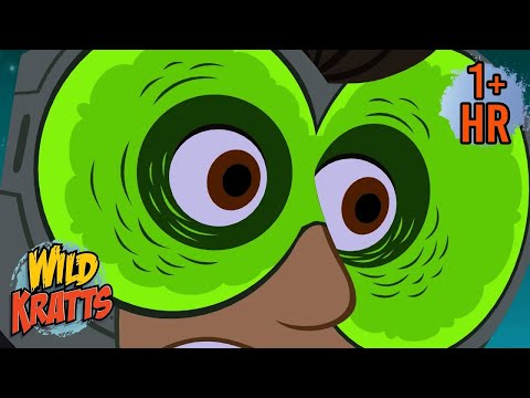 👽 Alien Species Attack! | NEW COMPILATION | Forest Mission | Wild Kratts | 9 Story Kids