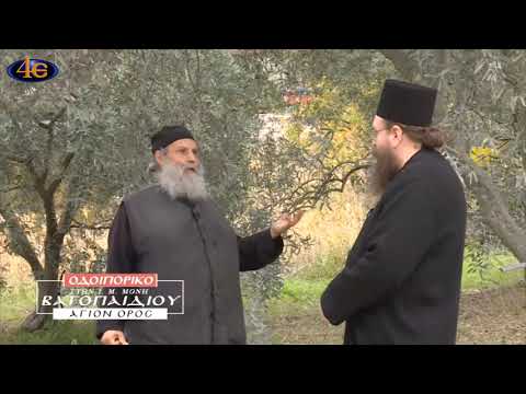 Οδοιπορικό στην Ι. Μ. Μονή Βατοπαιδίου (Στ΄) | Ελαιώνες - Κήποι Μονής