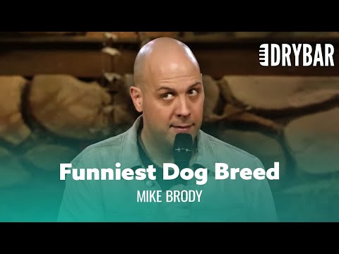 Never Mix A Wiener With A Golden Retriever. Mike Brody - Full Special