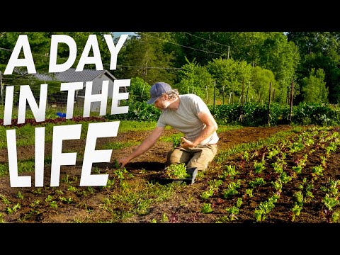 What Market Gardening is Actually Like