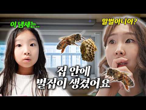 집에 말벌이 들어왔어요! 그런데 엄청난 반전이..!! 집에 벌집까지 만들어버린 벌들..어떡하죠ㅠㅠ | 유타 가족 일상 브이로그