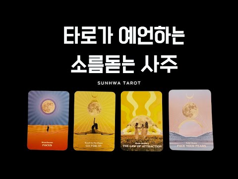 [타로I예언🔮] 타로가 예언하는 당신의 사주