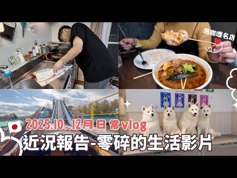 日本生活⎮北海道10~12月vlog⎮瑣碎的日常-逛大創、小岡切魚秀、威士忌福袋、Greenland、湯咖哩名店Suage+ 、薩摩耶咖啡、燈中毒😂⎮Eve 伊芙,留日生活中⎮Eve 伊芙,留日生活中