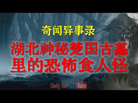 【灵异事件】湖北楚国神秘古墓里的恐怖小怪物 | 老国营工厂守夜老大爷的真实惊悚经历 #鬼故事#睡前故事#解压故事#灵异故事#民间故事 #horror#ghost「奇闻异事录--灵异电台」