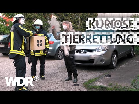 Wenn die Feuerwehr zum Umzug anrückt | S05/E02 | Feuer & Flamme | WDR