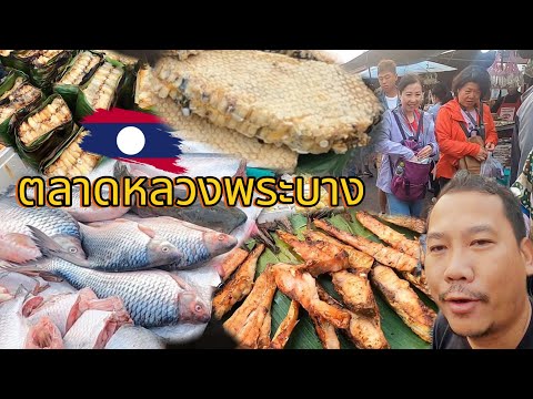 ตลาดเช้า หลวงพระบาง สปป.ลาว รังผึ้ง ปลาน้ำโขง อาหารลาว สุดยอดบรรยากาศ เที่ยวลาวเหนือ 2024
