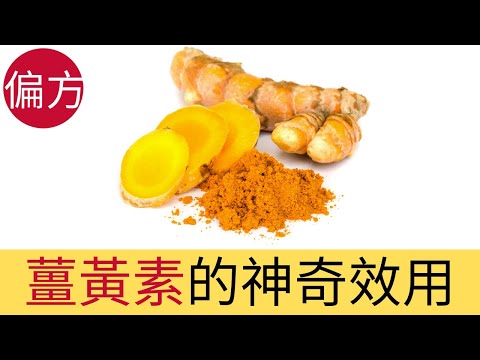 薑黃素的神奇效用｜天然抗氧化抗發炎神器