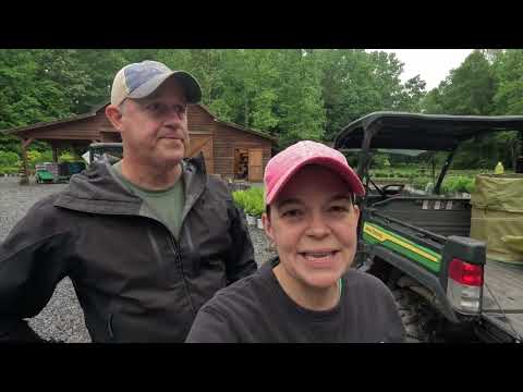 From Devastation to Restoration