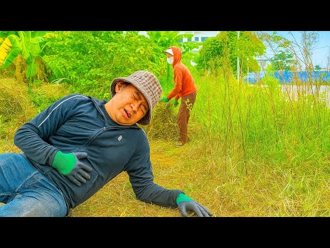 We Risked Our Lives Cleaning the Sidewalk for 4 Days—All for Just $52 😰#cleaning #cleanup