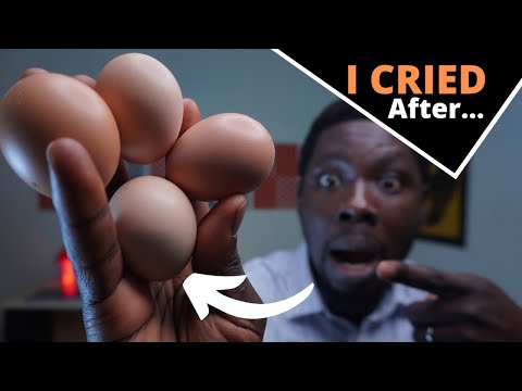 Dos and Don'ts of Fermented Chicken Feeds (LEARN FROM MY EXPERIENCE)