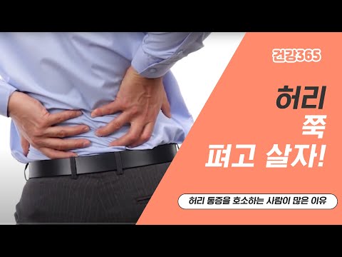 허리 쭉 펴고 살자! [TBC클리닉건강365]
