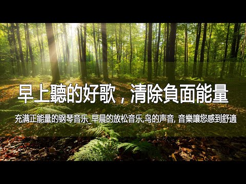 早上聽的好歌 , 清除負面能量 🎵3小时的沉静音乐，充满正能量的钢琴音乐_早晨的放松音乐,鸟的声音, 音樂讓您感到舒適