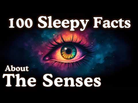 The Most Relaxing Facts About The Senses to Fall Asleep To