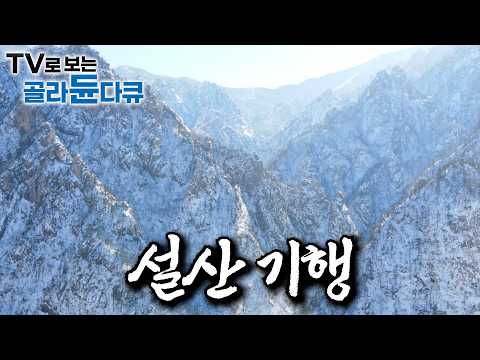 🏔우리가 그토록 기다린 풍경, 설산🏔｜한바탕 눈이 내린 뒤 얼음 왕국이 된 지리산｜천상의 눈꽃 화원이라 불리는 곰배령｜설악산 국립공원 특수산악구조대 겨울 작업｜극한직업｜#골라듄다큐