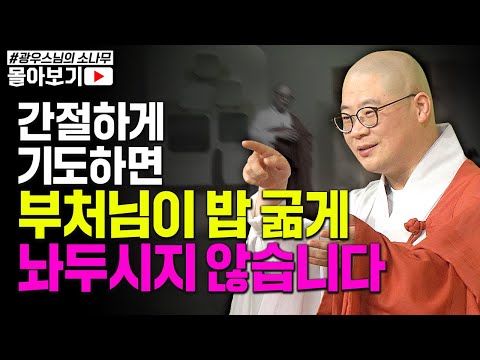 "간절하게 기도하면 부처님이 굶어죽게 놔두시지 않는다" 몸이 아파도, 돈 없어 힘들어도 간절하게 기도한다면 반드시 응답온다  [초심으로 돌아가는 광우스님의 소나무 시즌3 몰아보기]