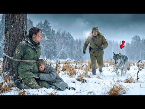 Ветеран бросился спасать связанную мать и ребёнка — поступок волка потряс всех
