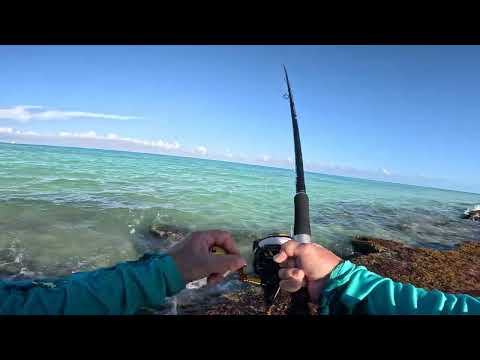 Cayo Cruz  surf fishing 🎣 