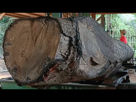 Unusual tree cutting style in an extraordinary sawmill 