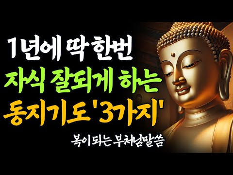 1년에 딱 한 번, 자식이 잘되는 동지기도 ‘이 3가지’만 하세요 | 부처님 말씀