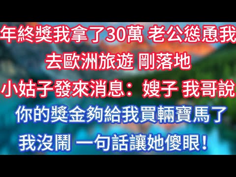 年終獎我拿了30萬，老公慫恿我去歐洲旅遊，剛落地，小姑子發來消息：嫂子，我哥說你的獎金夠給我買輛寶馬了，我沒鬧一句話讓她傻眼！ #傾聽故事會 #情感故事 #老人频道 #老年健康 #為人處世 #老年生活