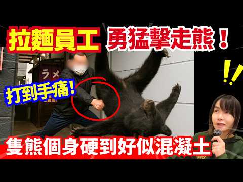 【日本熊患持續🚨】58歲拉麵員工與熊搏鬥！熊最常襲擊人類頭部位置？獵熊季節、餐廳準備熊肉套餐！熊連環襲擊事件 | 日本新聞報導 | CC中文字幕 #熊出沒 #柴犬 #廣東話 #新聞 #突發