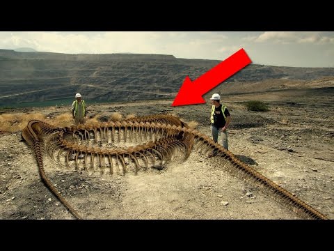 7 MYTHICAL Creatures that Actually EXISTED