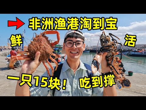 非洲渔港淘到宝，超大螃蟹一只才15块，鲜活龙虾配螃蟹吃到爽！