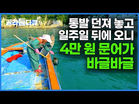 I can't move because octopuses keep coming up in front of my house. I forgot to put the fish trap...