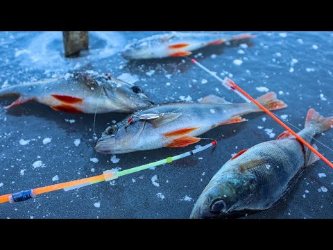 Такий Мороз,що Окуні Відразу Примерзають.Перший лід 2024-2025 в Україні