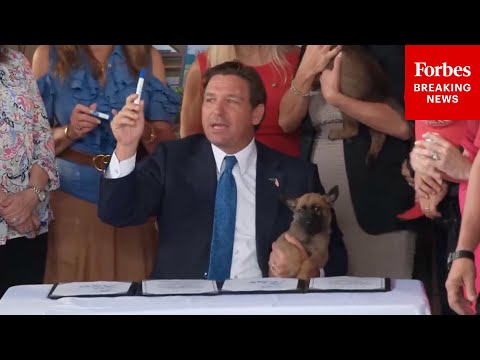 BREAKING NEWS: Florida Gov. Ron DeSantis Signs New Law To Crack Down On Abuse Of Dogs