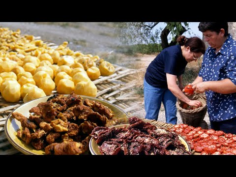 Dried tomatoes and peach dried apricots. Dehydration and preservation | Lost Trades | Documentary
