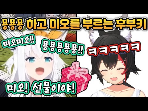 미오샤에게 선물을 주는 후부키, 근데 좀 많이 사랑스러운 [홀로라이브/시라카미 후부키/오오카미 미오]